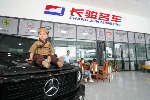 襄陽長駿名車廣場 打造鄂西北最大進口平行車一站式交易中心